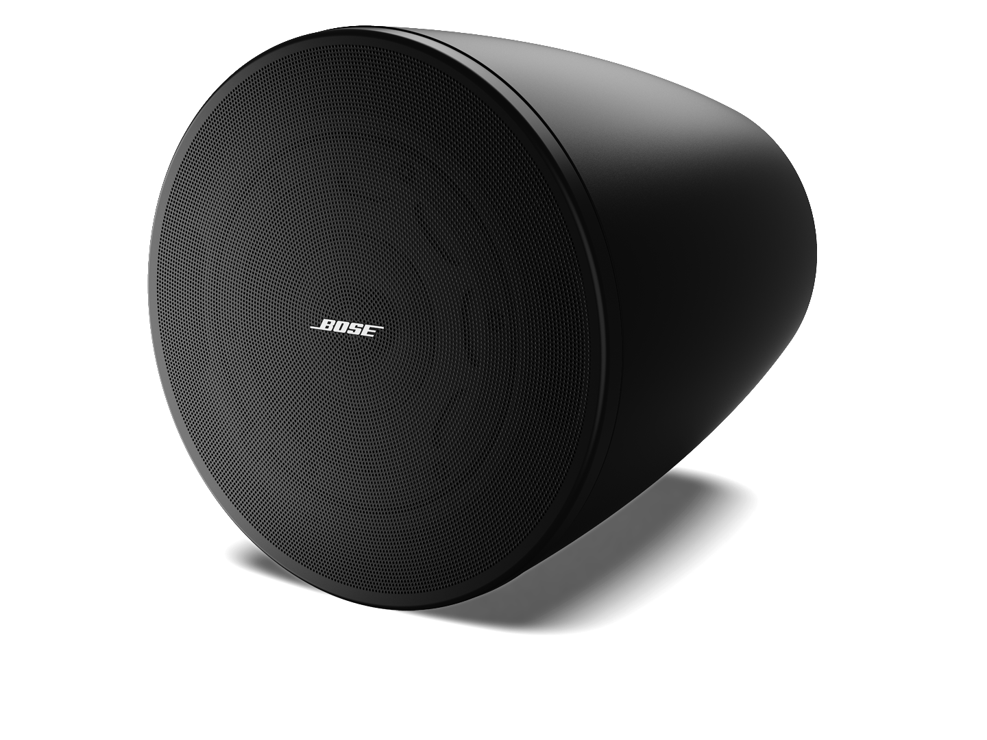 BOSE DM6PE 垂吊揚(yáng)聲器（1 對(duì)）